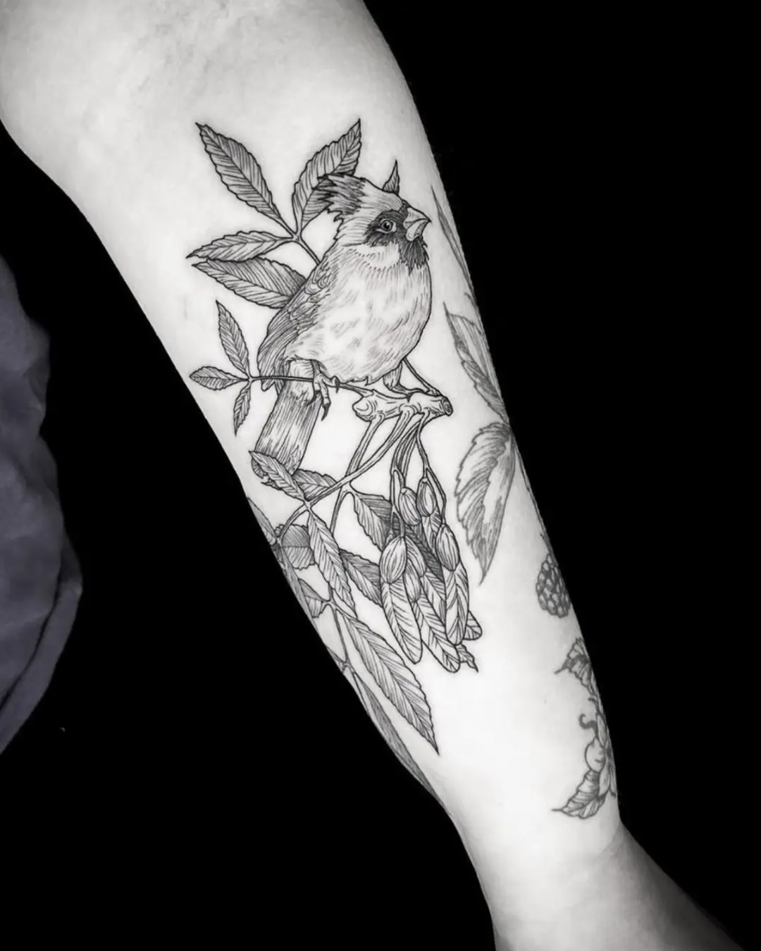 Portfolio Fine Line Tattoo Black Ink Portfolio Fine Line Tattoo Black Ink