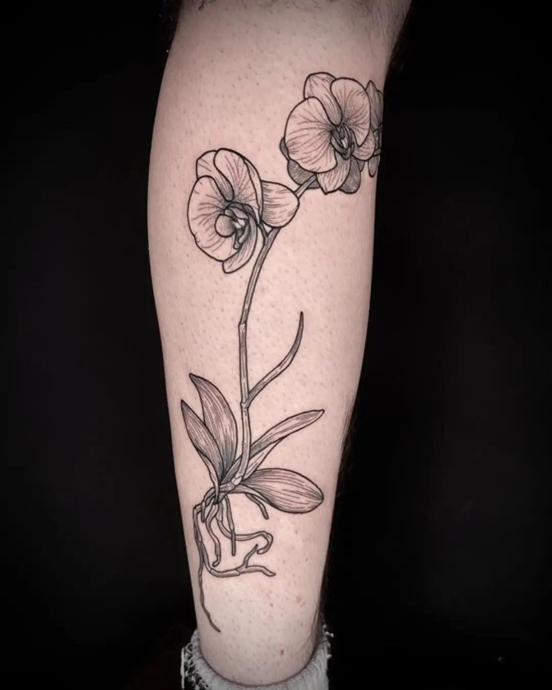 Portfolio Fine Line Tattoo Ideas Portfolio Fine Line Tattoo Ideas