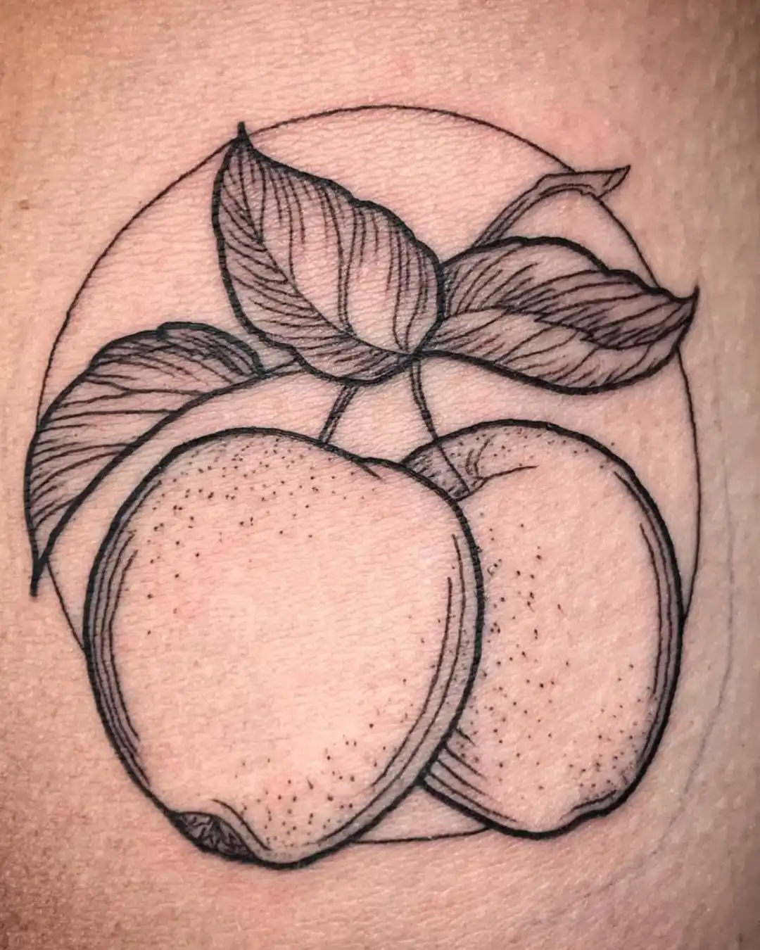 portfolio animal fine line tattoos chicago Portfolio Animal Fine Line Tattoos Chicago