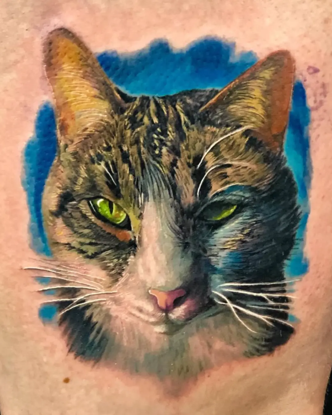 portfolio best tattoo artists for color realism Chicago portfolio best tattoo artists for color realism Chicago