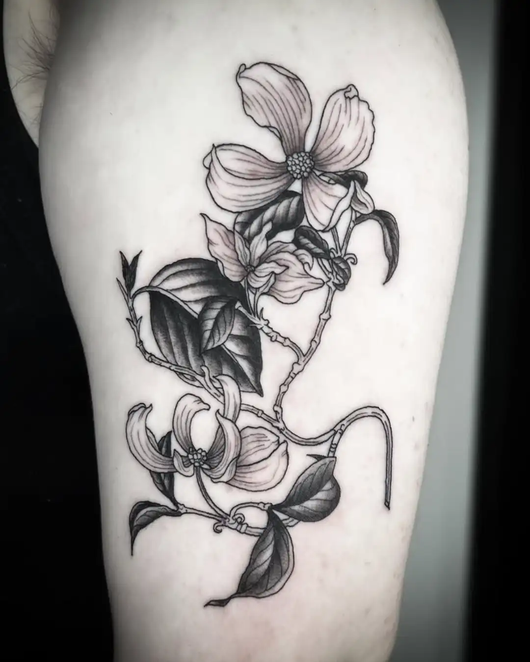 portfolio fine line tattoo black ink chicago Portfolio Fine Line Tattoo Black Ink Chicago