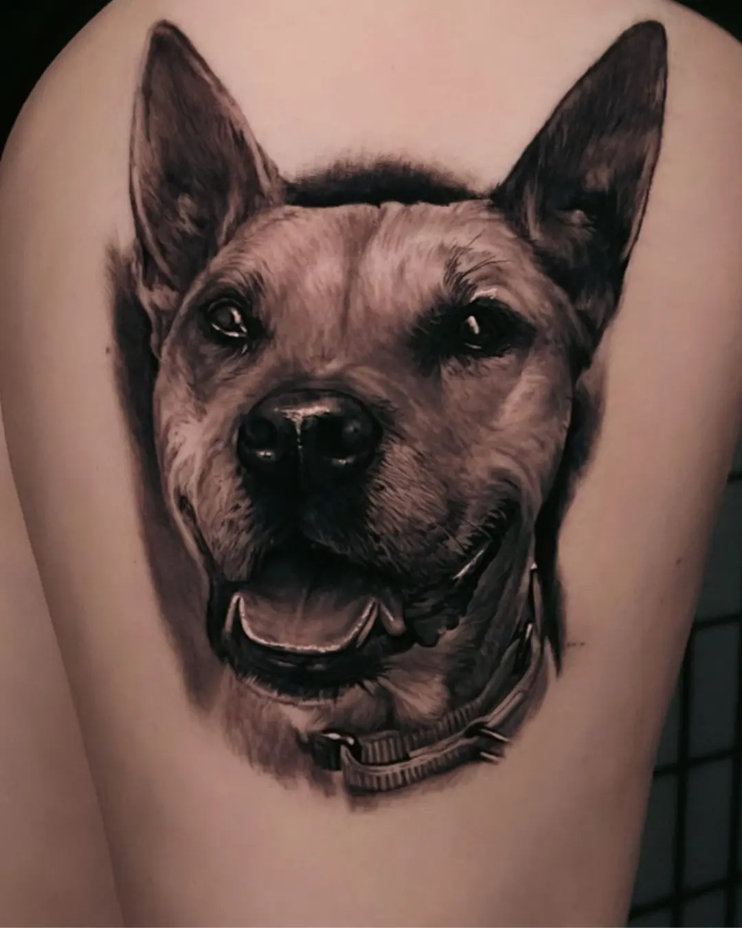 Animal portrait realism tattoos Chicago Animal portrait realism tattoos Chicago