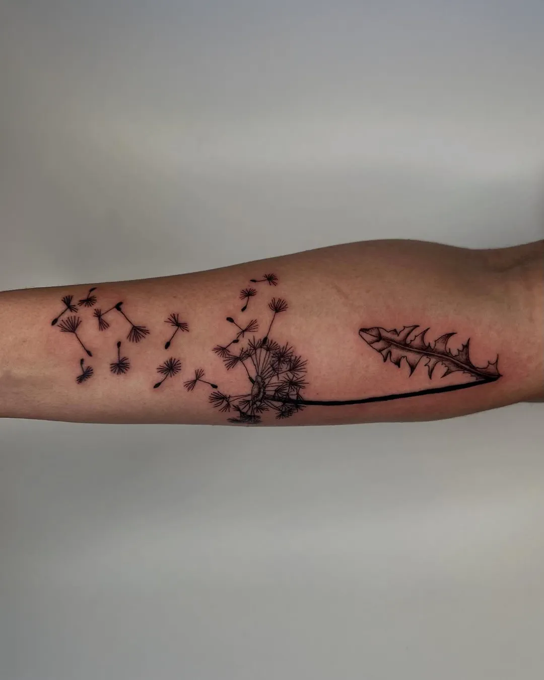 molly-kelso-fine-line-minimalist-tattoo-chicago