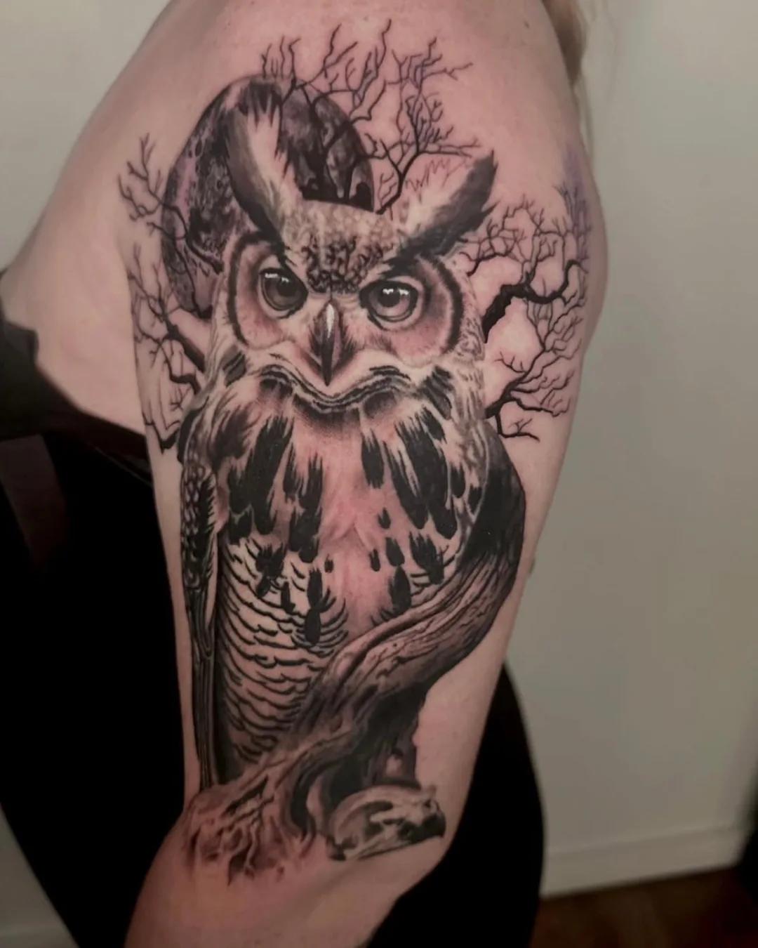 Animal tattoo Chicago bird tattoo symbolic Animal tattoo Chicago bird tattoo symbolic
