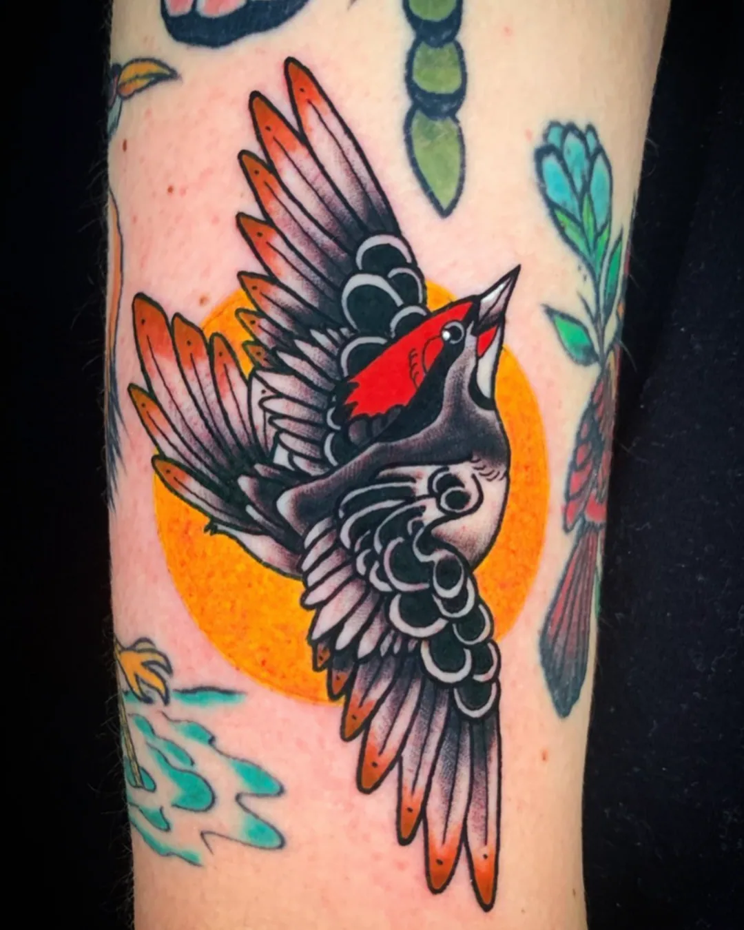 Animal tattoo Chicago bird tattoo symbolic Animal tattoo Chicago bird tattoo symbolic 1 1