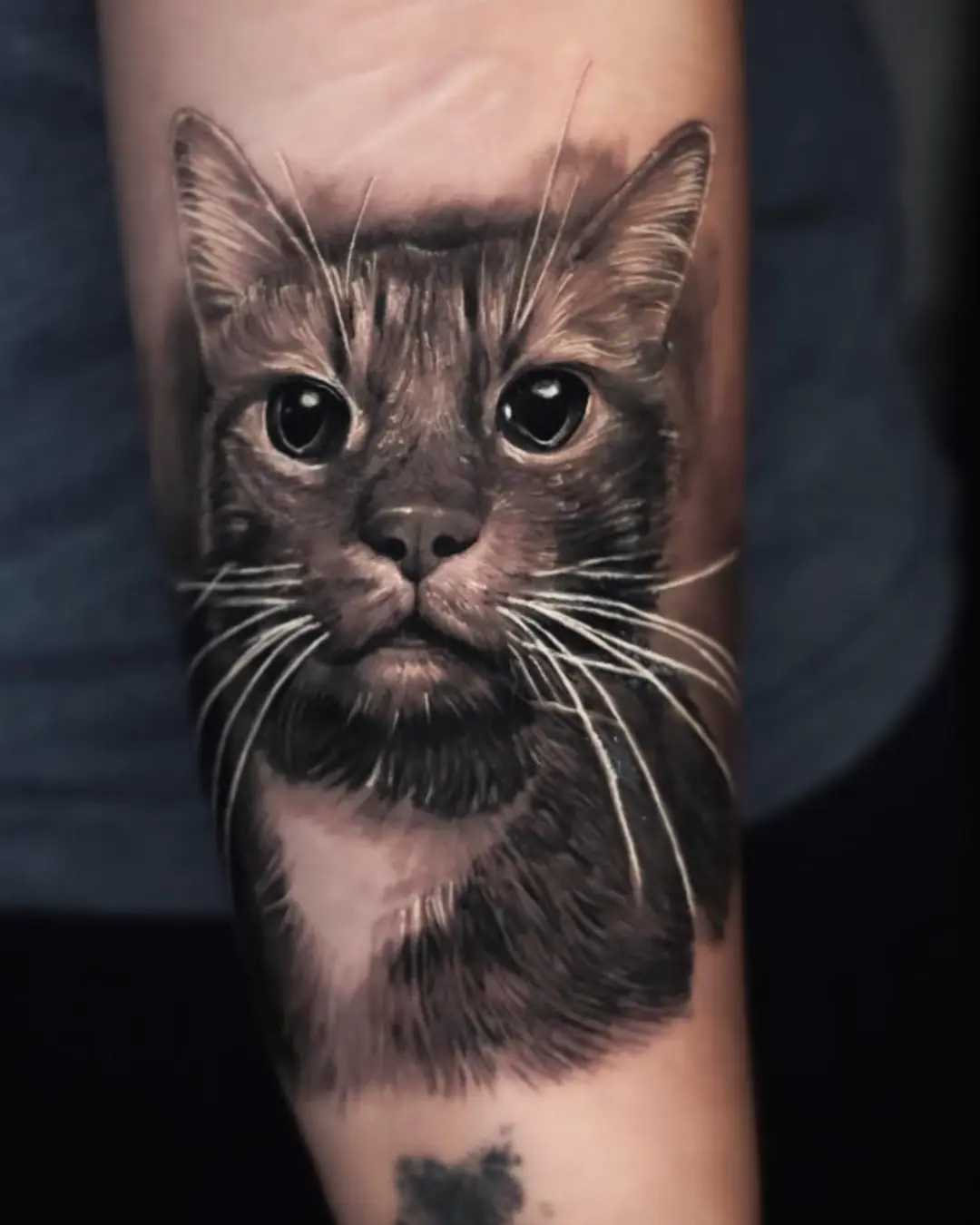 Animal tattoo Chicago cat tattoo fortune-bringing with sacred independence Animal tattoo Chicago cat tattoo fortune-bringing with sacred independence