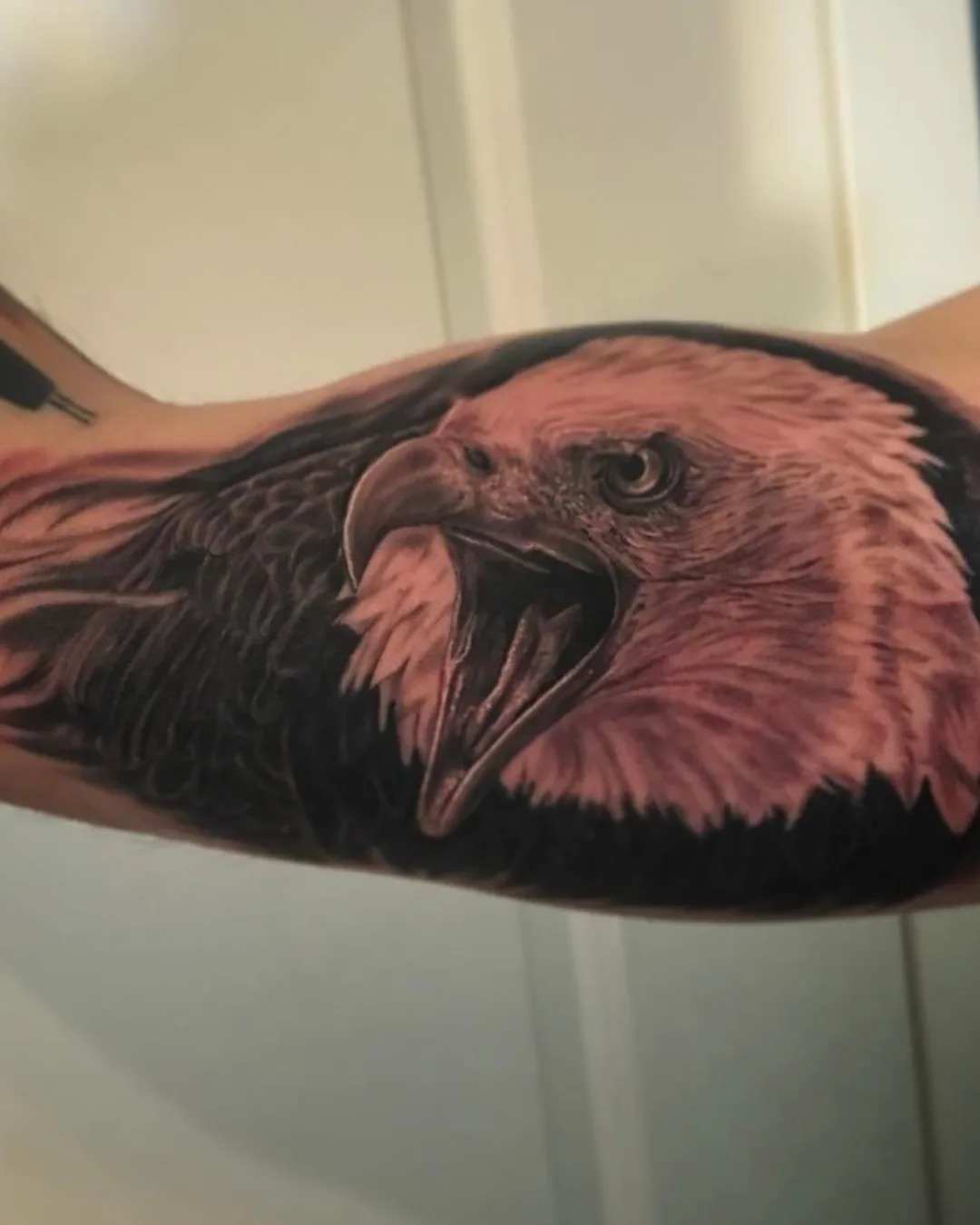 Animal tattoo Chicago fish tattoo symbolic of perseverance and fortune in wildlife motif Animal tattoo Chicago fish tattoo symbolic of perseverance and fortune in wildlife motif