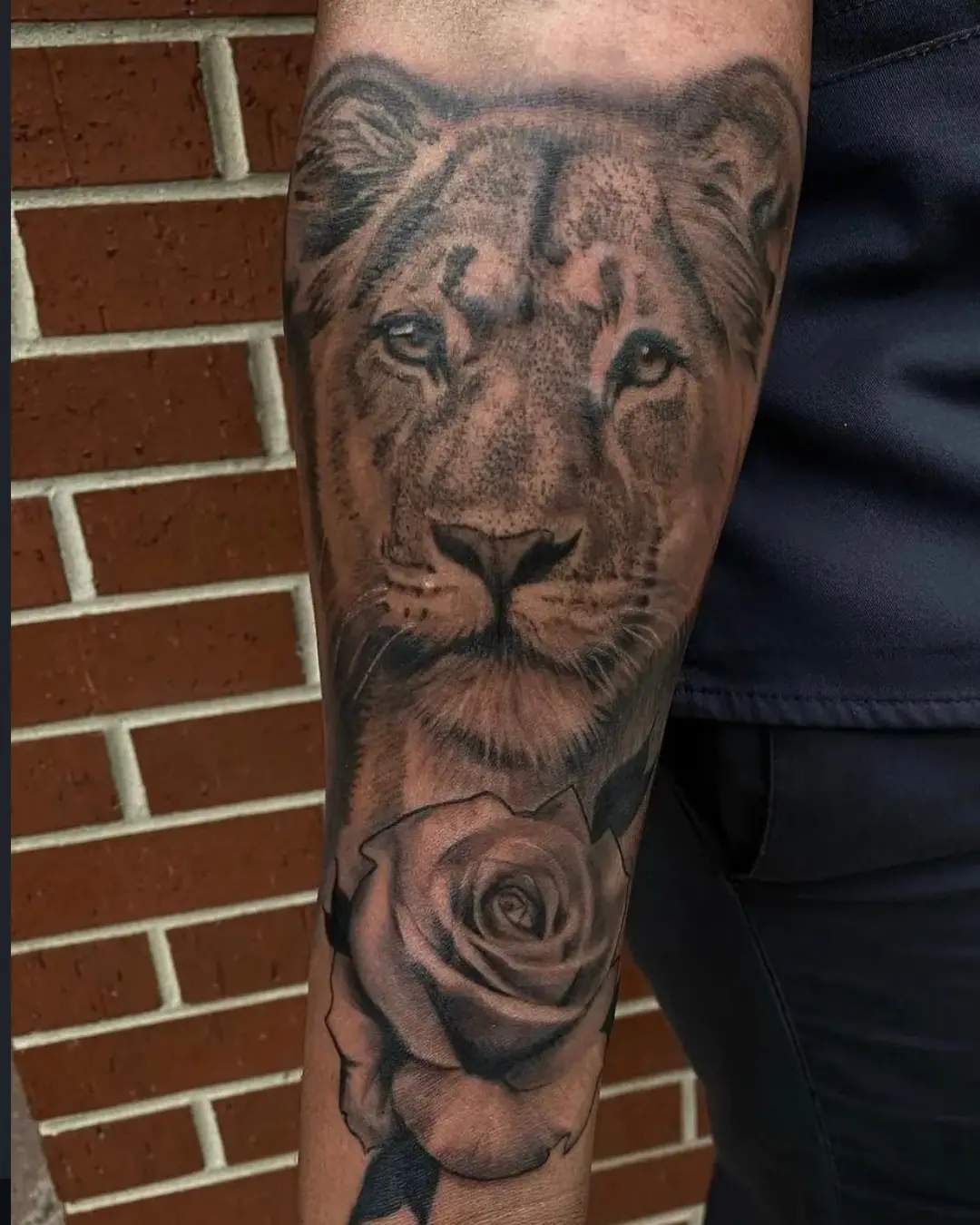 Animal tattoo Chicago lion tattoo shoppng Animal tattoo Chicago lion tattoo shoppng