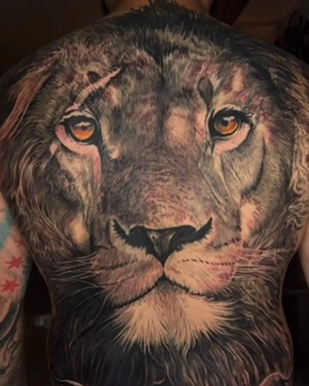 Animal tattoo Chicago lion tattoo symbolic of courage and fortune in geometric style Animal tattoo Chicago lion tattoo symbolic of courage and fortune in geometric style