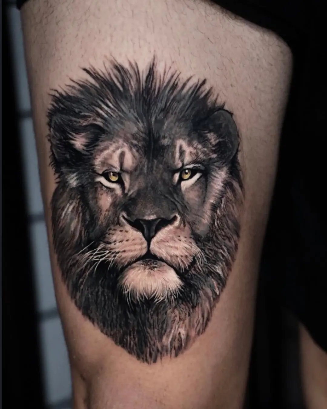 Animal tattoo Chicago lion tattoo Animal tattoo Chicago lion tattoo