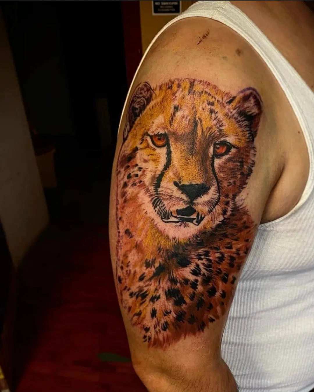 Animal tattoo Chicago tiger tattoo magical design highlighting strength and spirituality Animal tattoo Chicago tiger tattoo magical design highlighting strength and spirituality