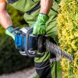 Service entretien paysager