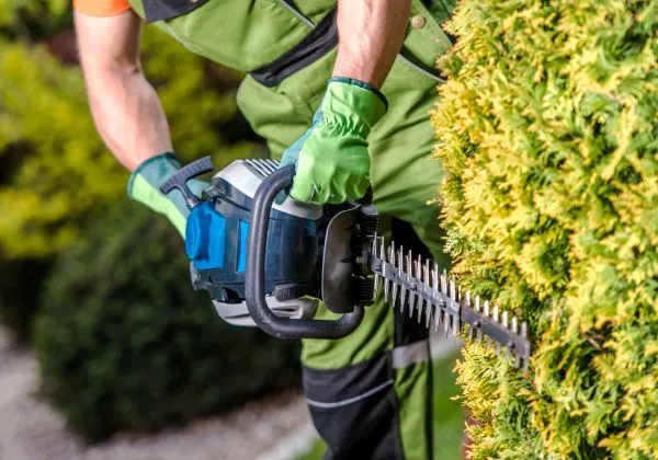 Service entretien paysager