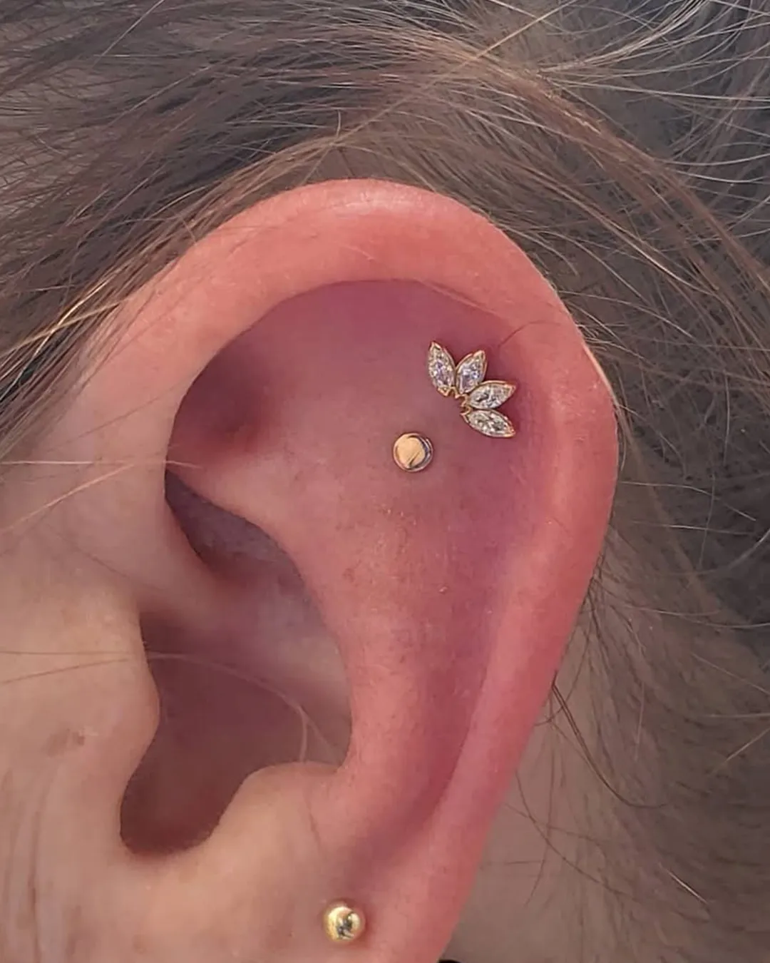 body-piercing-conch-gold-lotus-chicago body piercing conch gold lotus chicago