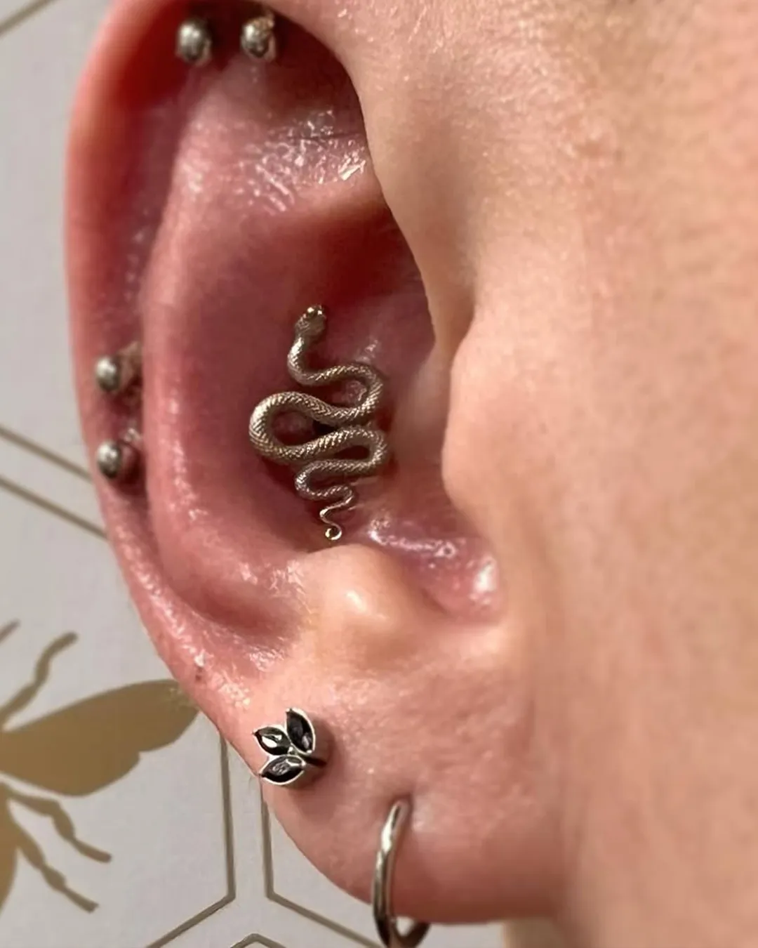body-piercing-rook-snake-ear-piercing-chicago-shops body piercing rook snake ear piercing chicago shops