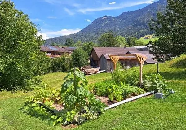 installation potager suivi et application