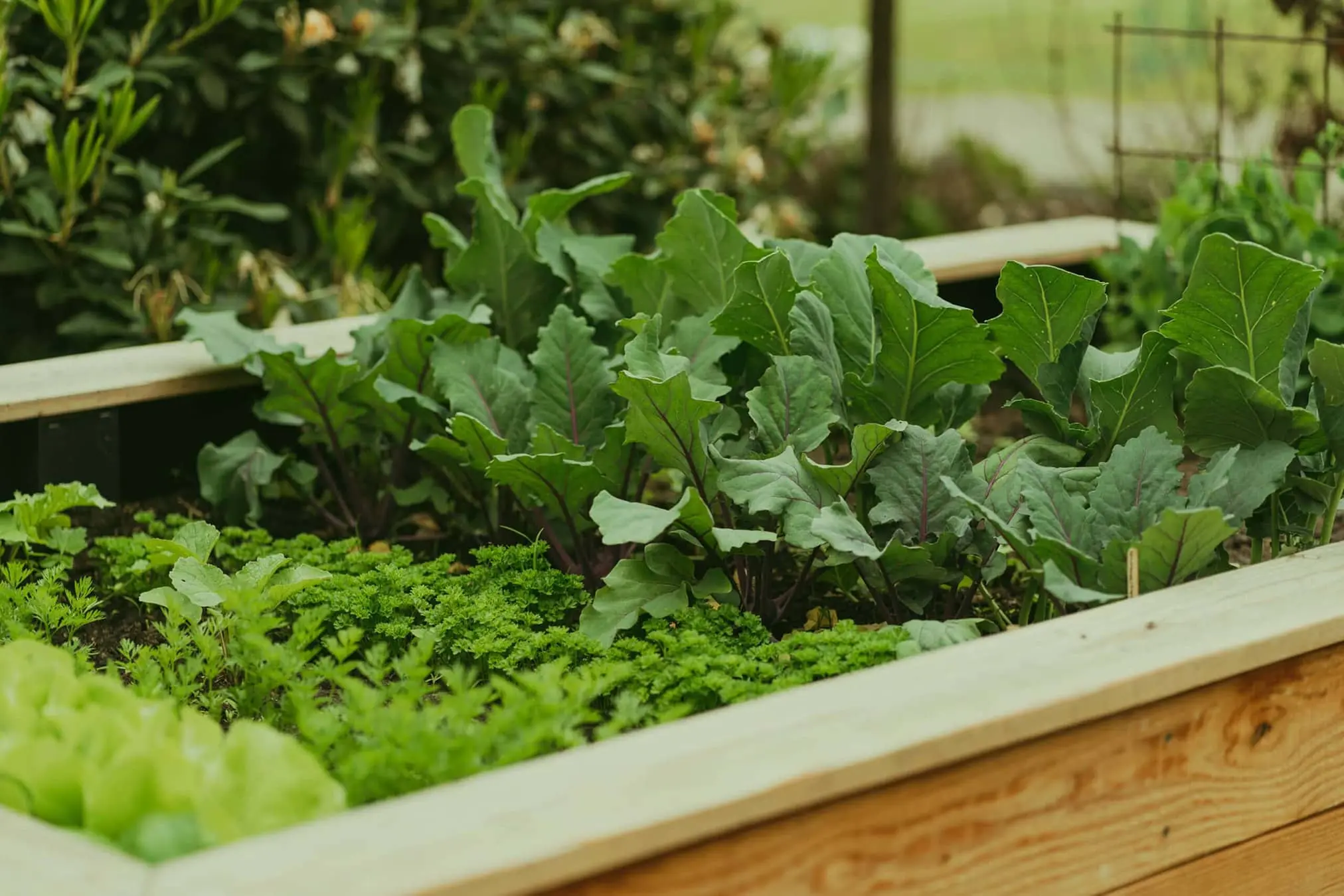 entreprise paysagiste Clamart