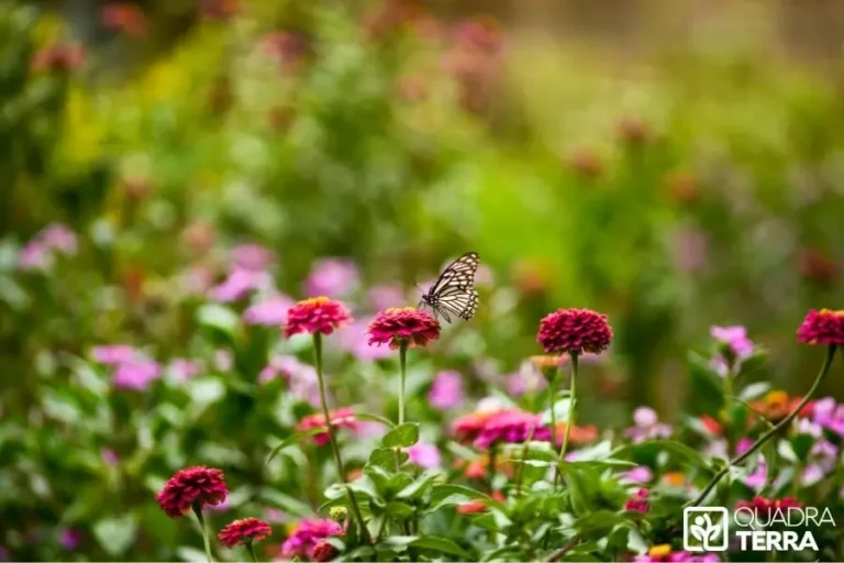 Entretien jardin 1000m2