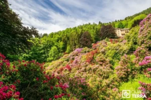 Prix débroussaillage